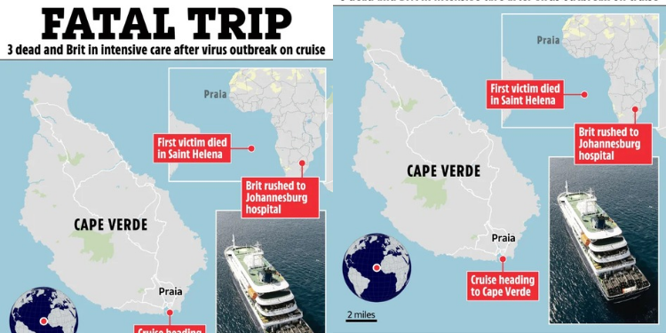 An illustration of how the cruise ship incident occurred PHOTO/The Sun