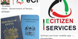 e-Citizen Portal PHOTO/NTV