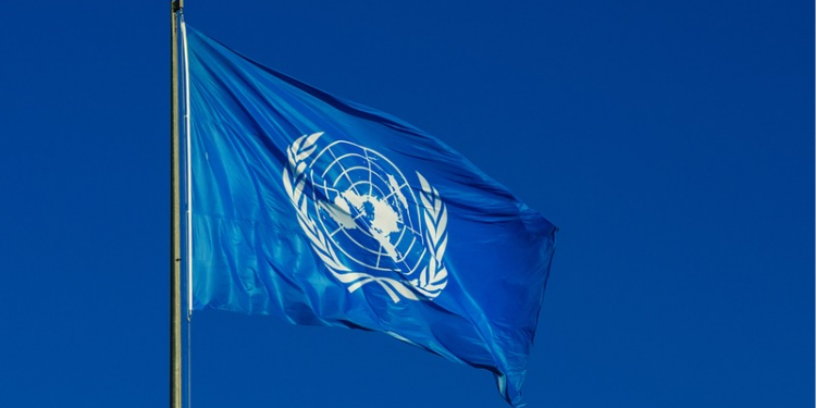 A UNDP flag on a post. PHOTO/ UNDP