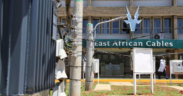 TransCentury Breaks Silence on Proposed Acquisition of 68.37% Stake in East African Cables
