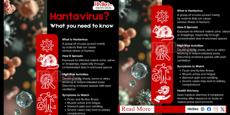 An infographic showing what you need to know about Hantavirus by Hivileo. PHOTO/Hivileo.
