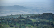 Kenya Forest Service