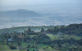 Kenya Forest Service