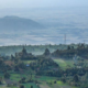 Kenya Forest Service
