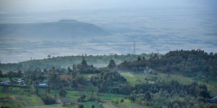 Kenya Forest Service