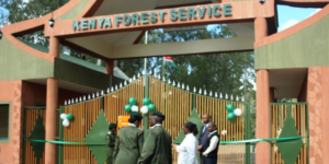 Kenya Forest Headquaters