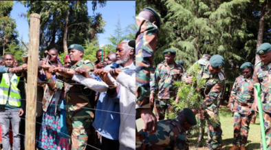 Kenya Forest Service