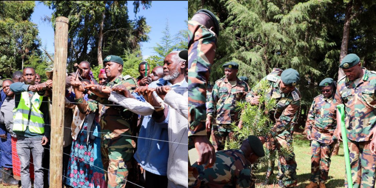 Kenya Forest Service