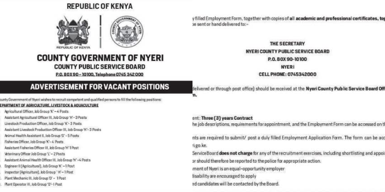Nyeri County Government