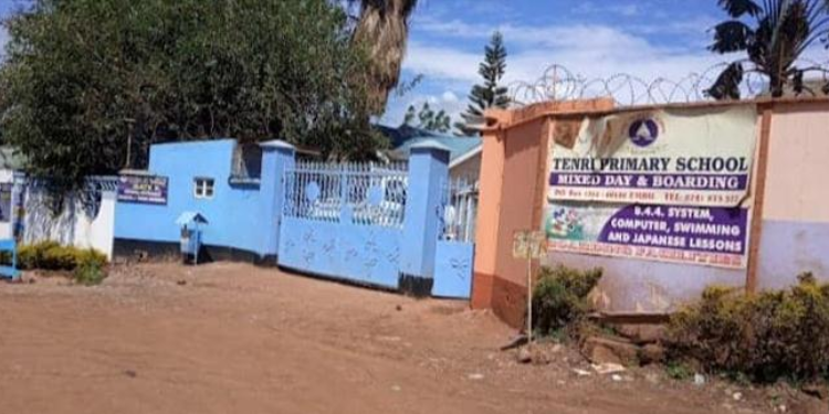 Goons, Slogans and Biscuits: Tenri Primary School Elections Look Like Mini State House Race