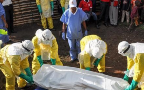 A photo of doctors handling an Ebola patient. Photo/ file