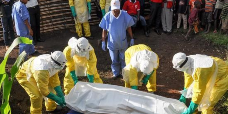 A photo of doctors handling an Ebola patient in Uganda. Photo/ file