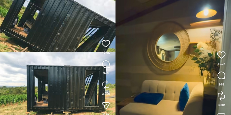 the_curious_builder showing how his tiny house looksPHOTO/Screengrab 