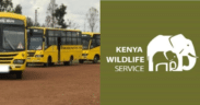 KWS launches student-friendly discounts on park entry fees, making wildlife learning more affordable across Kenya’s national parks. Valid until July 31, 2026