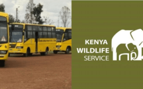KWS launches student-friendly discounts on park entry fees, making wildlife learning more affordable across Kenya’s national parks. Valid until July 31, 2026