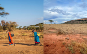People from the Coastal Kenya walking long distances during hot and dry weather to look for water PHOTO/File