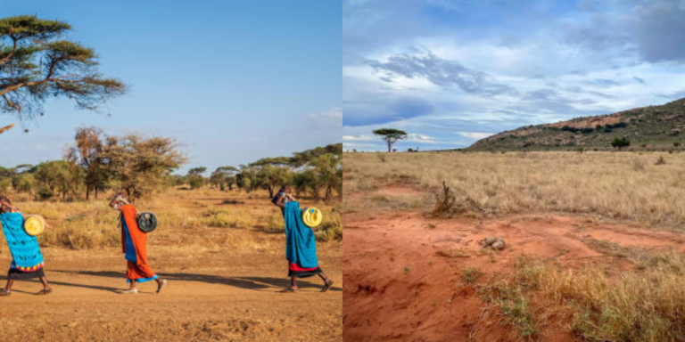 People from the Coastal Kenya walking long distances during hot and dry weather to look for water PHOTO/File