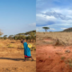 People from the Coastal Kenya walking long distances during hot and dry weather to look for water PHOTO/File
