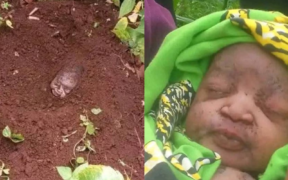 Newborn baby found buried halfway in a farrm rescued by residents of Kabete. PHOTO/ File