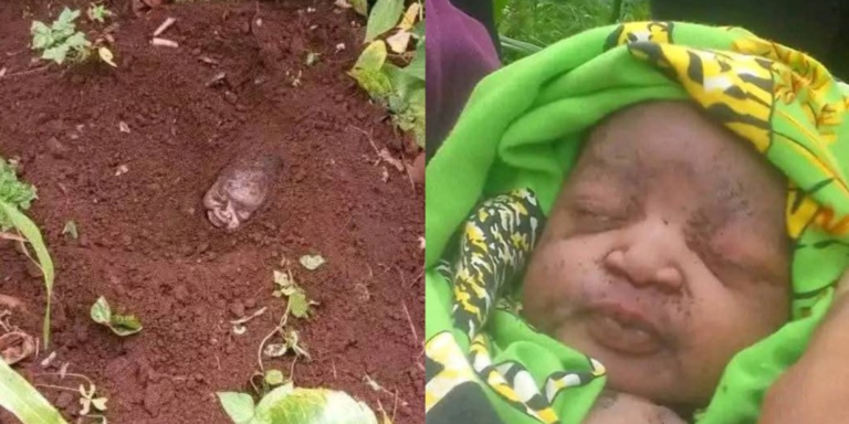 Newborn baby found buried halfway in a farrm rescued by residents of Kabete. PHOTO/ File