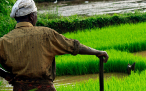 Kenya weather forecast May 2026