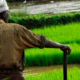 Kenya weather forecast May 2026