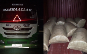 DCI Arrests Five in Multi-County Cannabis Crackdown Worth Ksh 12.15M.