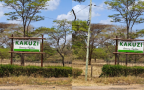 Kakuzi PLC has warned the public against fake land sales involving its property in Murang’a County.