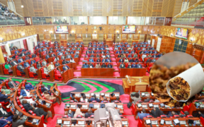Tobacco Amendment Bill: More Stakeholders Join Debate Ahead of Parliament Hearing