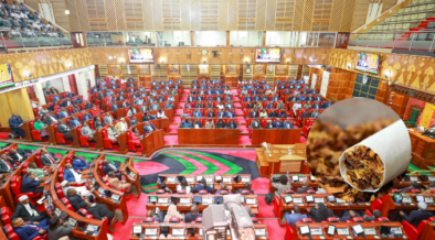 Tobacco Amendment Bill: More Stakeholders Join Debate Ahead of Parliament Hearing