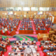 Tobacco Amendment Bill: More Stakeholders Join Debate Ahead of Parliament Hearing