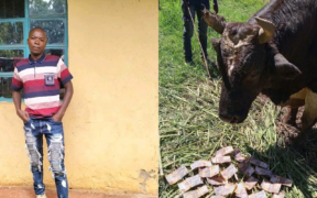 Bullfighting Enthusiast Known as “DCI” Found Dead in Shinyalu. Photo/ Dennis Weche/ FB