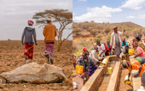 WHO visit to Marsabit County in Northern Kenya back in 2022. PHOTO/ Billy Miaron