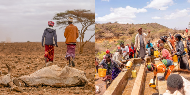 WHO visit to Marsabit County in Northern Kenya back in 2022. PHOTO/ Billy Miaron