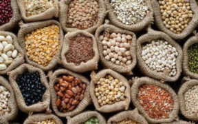 Cereals in sacks for illustration PHOTO/COFEK