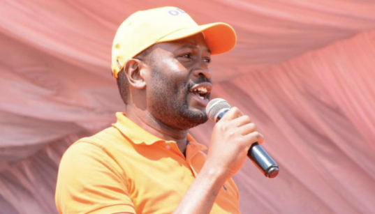 Senator Edwin Sifuna during a past rally. PHOTO/ Edwin Sifuna X