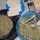 cannabis sativa concealed in a bluish basin and a black polythene bag, weighing scale, a pair of scissors, three lighters, Rizla rolling papers, a crusher, rolling flags and several small envelopes allegedly used for packaging recovered from a house in Nairobi following DCI raid. PHOTO/ DCI