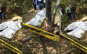 Bodies that were found in a suspected mass grave in Mwingi, Kitui County. PHOTO/ I am Chege X
