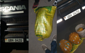 Ugandan National Arrested as DCI Seizes Cannabis Hidden in Truck on Naivasha Highway