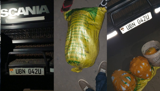 Ugandan National Arrested as DCI Seizes Cannabis Hidden in Truck on Naivasha Highway