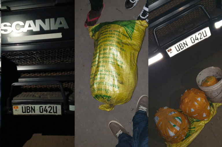 Ugandan National Arrested as DCI Seizes Cannabis Hidden in Truck on Naivasha Highway
