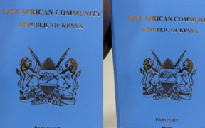 A photo collage of Kenyan Passports. PHOTO/ Immigration Services Kenya X