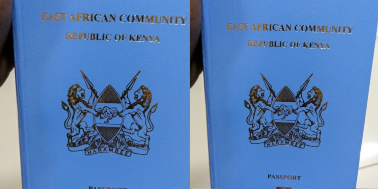 Passport.PHOTO/ Immigration Services Kenya X