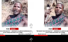 "Tunaingia TUTAM Ruto Akileta SHA Ya Mbuzi na Ng'ombe," Maasai Man Says
