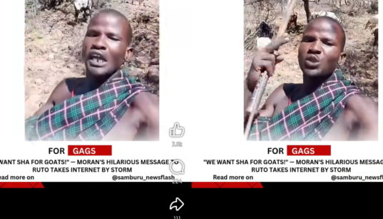 "Tunaingia TUTAM Ruto Akileta SHA Ya Mbuzi na Ng'ombe," Maasai Man Says