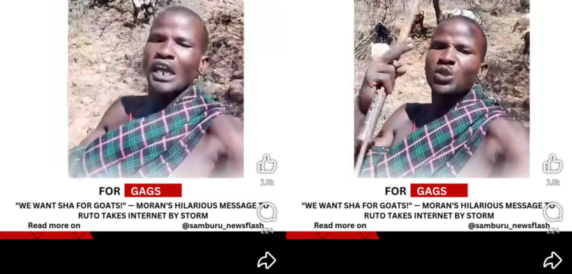 "Tunaingia TUTAM Ruto Akileta SHA Ya Mbuzi na Ng'ombe," Maasai Man Says