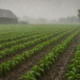 Kenya Met urges farmers across the country to prepare for mixed rainfall patterns as it releases the cumulative rainfall forecast for June 21–30, 2026, highlighting both wet and dry zones. PHOTO/Meridiano