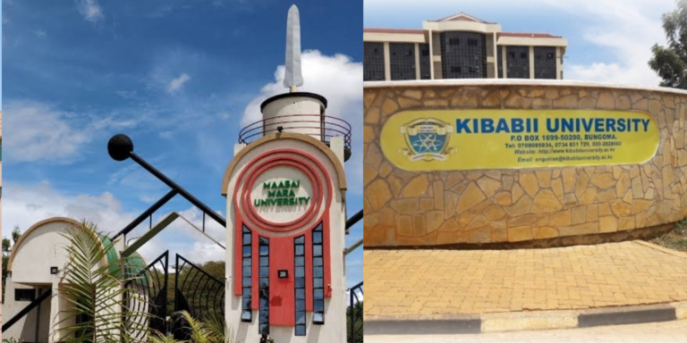 Maasai Mara and Kibabii universities advertise academic and administrative job openings with July13 and 14, 2026 application deadlines.