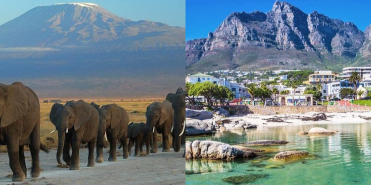 Elephants in a safari in Kenya and a picture of Capetown South AfricaPHOTO/Africa First