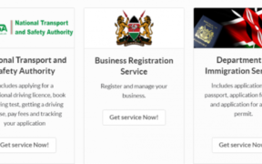 Company Registration in BRS via eCitizen: Step-by-Step Guide. Photo/ file